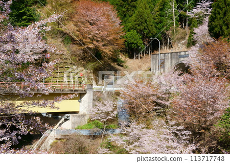 Spring mountain path 113717748