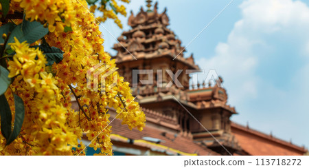 Vishu holiday concept - temple adorned with flowers of the Konna tree 113718272