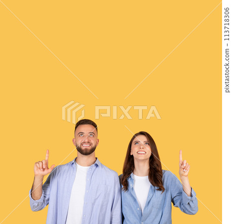 Couple looking up and pointing 113718306
