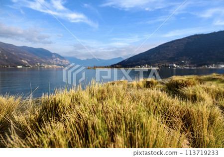 Trimmed dry grass on the shore of a lake with mountains in the background Focus on grass near water 113719233
