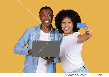 Smiling couple holding a laptop and a credit card 113719469
