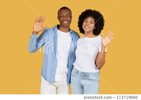 Happy African American couple waving hands at the camera with bright smiles, casually dressed 113719660