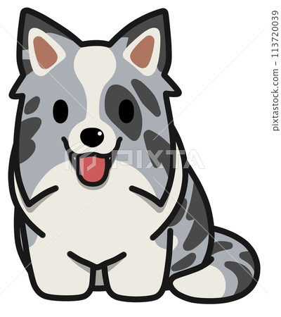 Smiling sitting Border Collie (Blue Merle) with upright ears Smiling sitting Border Collie (Blue Merle) with upright ears 113720039