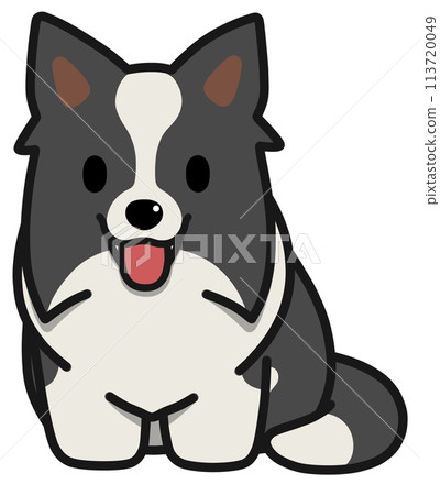Smiling sitting Border Collie with upright ears (black and white) 113720049