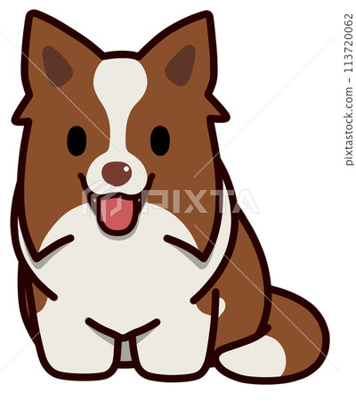 Smiling sitting border collie with upright ears (red and white) 113720062