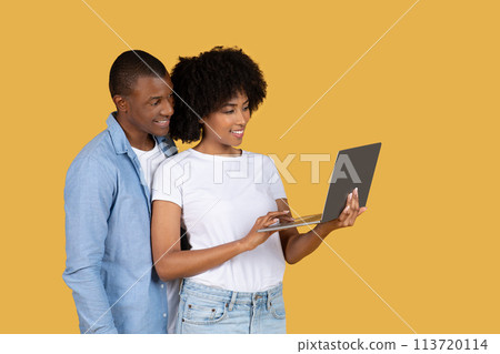 Cheerful young couple browsing on a laptop together with engaged interest Cheerful young couple browsing on a laptop together with engaged interest 113720114
