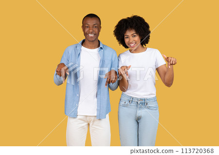 Cheerful African American couple pointing down to a blank white banner 113720368