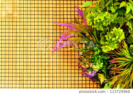 Yellow sunny wooden wall background with cells,green vegetation Yellow sunny wooden wall background with cells,green vegetation 113720968