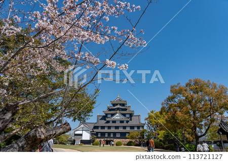 Okayama Prefecture: Okayama Castle and cherry blossoms in spring Okayama Prefecture: Okayama Castle and cherry blossoms in spring 113721127