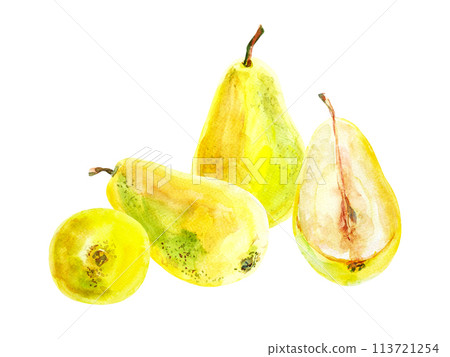 Composition of fresh ripe yellow honey pear fruits. Hand drawn watercolor illustration. Delicious aromatic fruit ripened on a tree 113721254