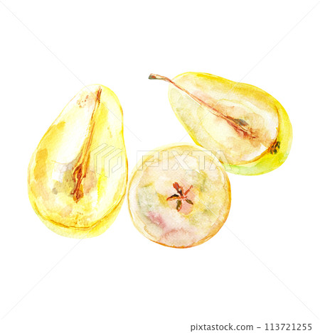 Set of fresh ripe yellow honey pear fruits. Hand drawn watercolor illustration. Delicious aromatic fruit ripened on a tree 113721255