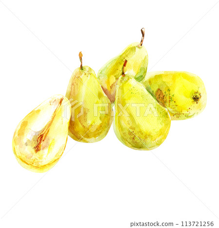 Set of fresh ripe yellow honey pear fruits. Hand drawn watercolor illustration. Delicious aromatic fruit ripened on a tree 113721256
