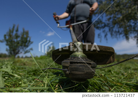 The trimmer head close-up against the background of mown grass in the hands of a man. A man with a trimmer mows the grass on his overgrown lawn behind his house. 113721437