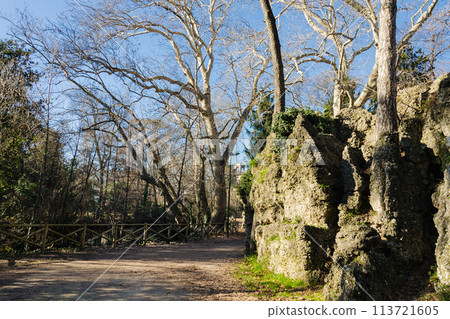Spring park with a wooden fence and rock 113721605