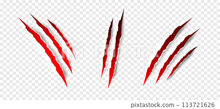 Claws scratches - vector isolated. Claws scratches animal claw tracks cat or tiger bear or lion attack nails scratches. Horror, halloween monster. Vector Claws scratches - vector isolated. Claws scratches animal claw tracks cat or tiger bear or lion attack nails scratches. Horror, halloween monster. Vector 113721626