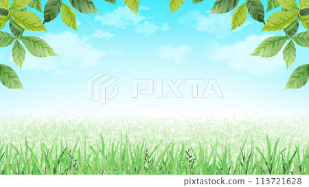 Grassland Nature Frame Background Material 16:9 Grassland Nature Frame Background Material 16:9 113721628