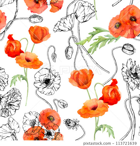 Hand drawn watercolor botanical illustration flowers leaves. Red poppy papaver, stems buds seedpods. Seamless pattern isolated white background. Design wedding, love cards, remembrance day stationery 113721639