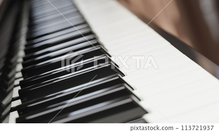 Close-up piano keyboard with selective focus. 3d rendering Close-up piano keyboard with selective focus. 3d rendering 113721937