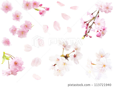 Cutout material set - various cherry blossoms Cutout material set - various cherry blossoms 113721940