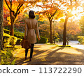 Autumn evening: A woman walking along a tree-lined path in a park 113722290