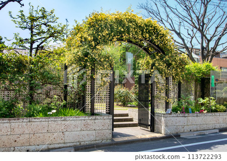 Nemunoki Garden, Shinagawa Park, Tokyo 113722293