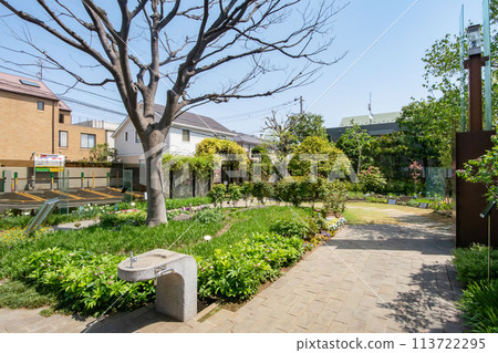 Nemunoki Garden, Shinagawa Park, Tokyo Nemunoki Garden, Shinagawa Park, Tokyo 113722295