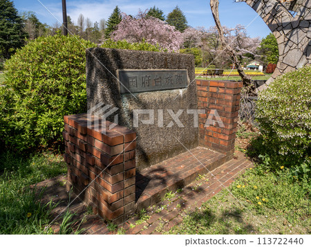 春天的里美公園、石碑和河野台城遺址的垂枝櫻花(千葉縣市川市) 春天的里美公園、石碑和河野台城遺址的垂枝櫻花(千葉縣市川市) 113722440