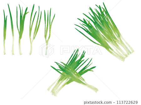 水彩風格大蔥套裝 113722629