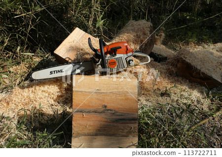 用電鋸將一個大白橡木球切成兩半 113722711