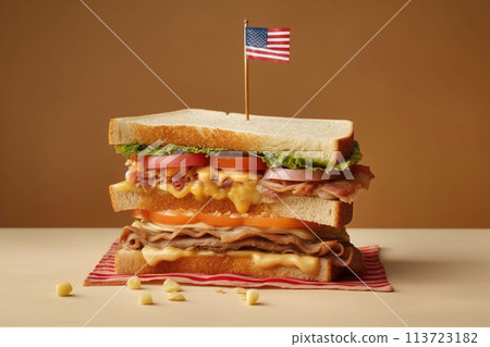 National Sandwich Day in the US. Gastronomic delight: the ultimate gourmet stack. 113723182