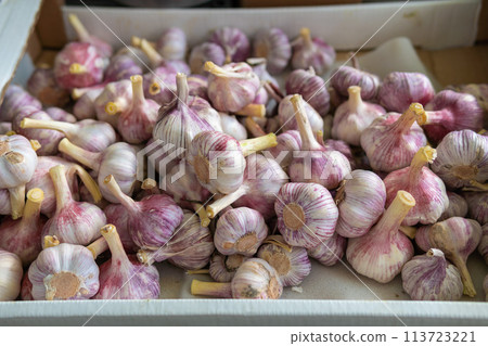 Many heads of garlic are sold in the market Many heads of garlic are sold in the market 113723221