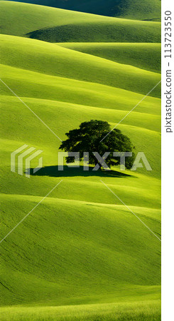 Bright sunlight over serene landscape, minimalistic scenery with single tree Bright sunlight over serene landscape, minimalistic scenery with single tree 113723550