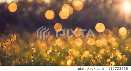 Sunny days warmth captured in a round blur embodying the essence of smooth summer Sunny days warmth captured in a round blur embodying the essence of smooth summer 113723586