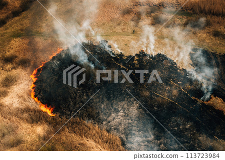 Aerial View Of Dry Grass Burns During Drought And Hot Weather. Concept Of Save Nature. Bush Fire And Smoke In Meadow Field. Wild Open Fire Destroys Grass. Nature In Danger. Natural Disaster 113723984