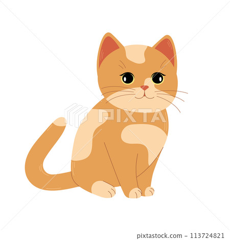 Cute spotted orange cat isolated on white background. Vector flat illustration Cute spotted orange cat isolated on white background. Vector flat illustration 113724821