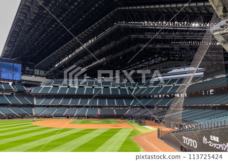 北海道棒球場 Esconfield Hokkaido 113725424