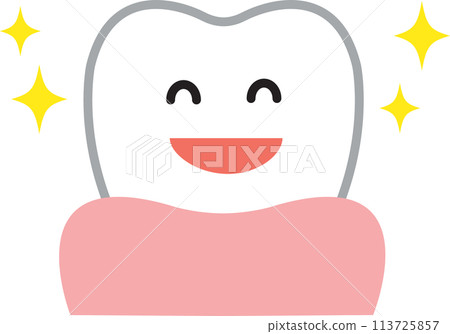 健康的牙齒 113725857