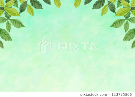 Natural leaves green background material 113725866