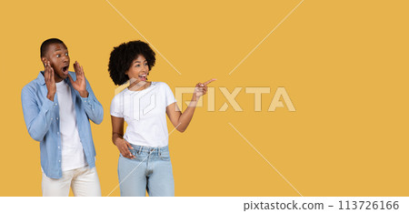 Couple pointing and looking surprised at copy space Couple pointing and looking surprised at copy space 113726166