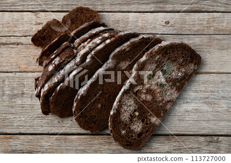 Piece of dark Molded bread Piece of dark Molded bread 113727000