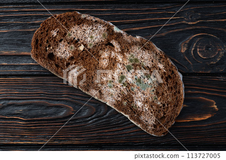 Piece of dark Molded bread Piece of dark Molded bread 113727005