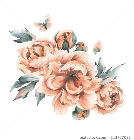 Delicate flowers, buds and leaves of peach and pink peonies with butterflies in a trendy color and vintage style. Hand drawn watercolor illustration. Composition isolated from background. 113727081