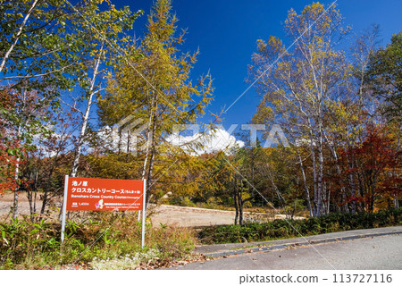 Autumn in Hiwada Highlands "Ikenohara Cross Country Course (Chinmagaike)" 113727116