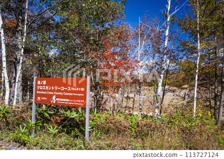 Autumn in Hiwada Highlands "Ikenohara Cross Country Course (Chinmagaike)" 113727124