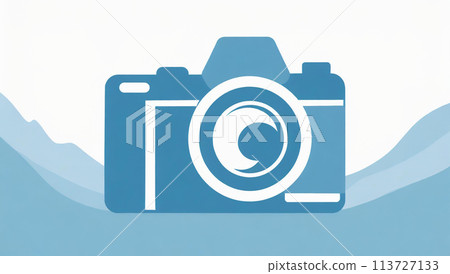 Camera 113727133