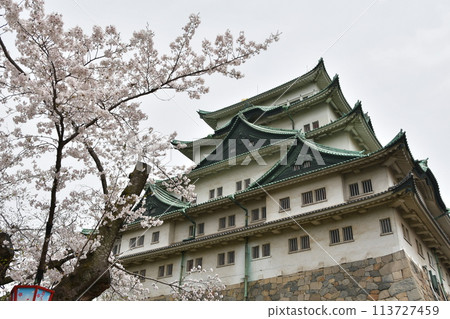 櫻花和名古屋城 113727459
