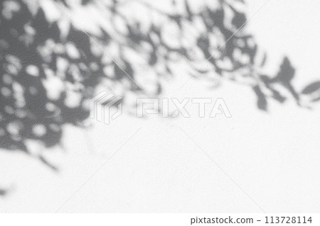 Natural shadow overlay on white colored grunge wall concrete texture background. Natural shadow overlay on white colored grunge wall concrete texture background. 113728114