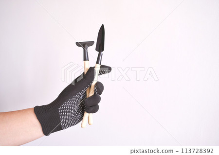 Woman hand holding gardening tools. Tends to a young echeveria in a decorative 113728392