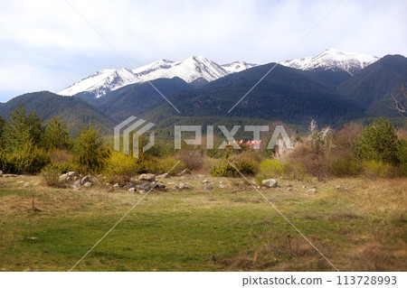 Bansko, Bulgaria spring woods and Pirin panorama Bansko, Bulgaria spring woods and Pirin panorama 113728993
