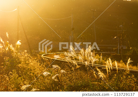 靜岡縣福井市河江天龍濱名湖鐵路和沿線風景 113729137